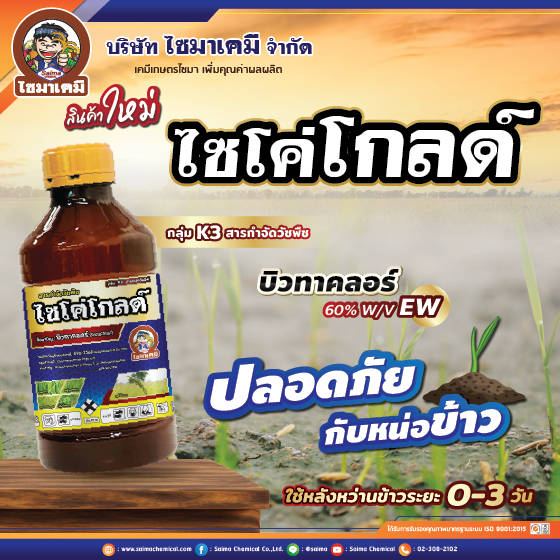 เมสดาซิน